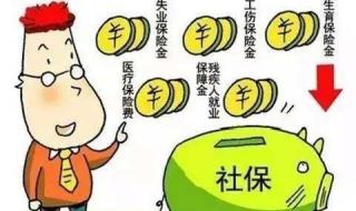 从今以后你会是所有