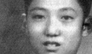 诺贝尔奖华人获得者 诺贝尔奖华人获得者