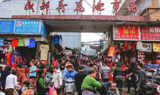 成都荷花池批发市场 成都荷花池批发市场