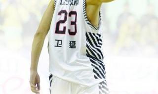 辽宁体育频道节目